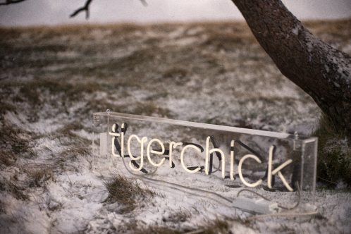 Happy Christmas from Tigerchick!