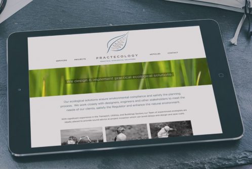 ecologist web design